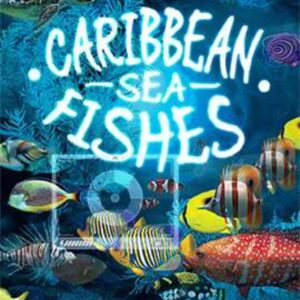 Caribbean Sea Fishes