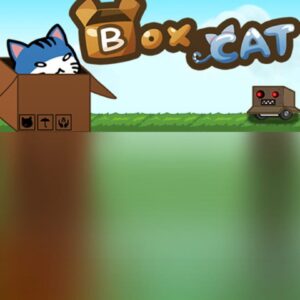 Box Cat